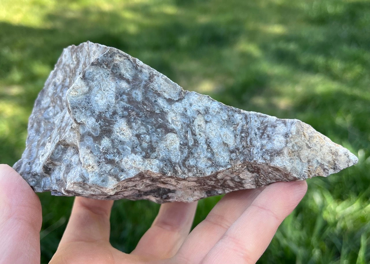 Bug's Eye Rhyolite Lapidary Rough Rock Specimen