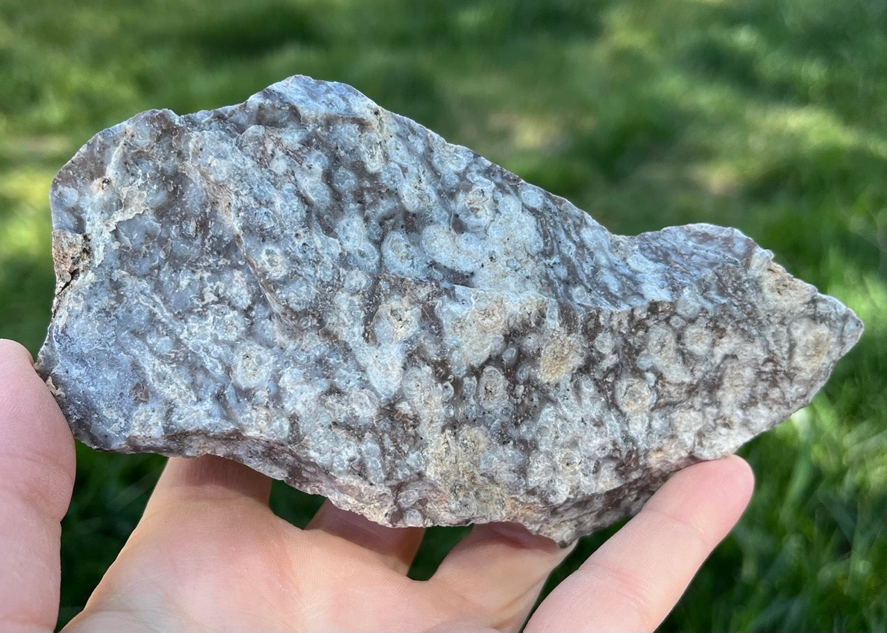 Bug's Eye Rhyolite Lapidary Rough Rock Specimen