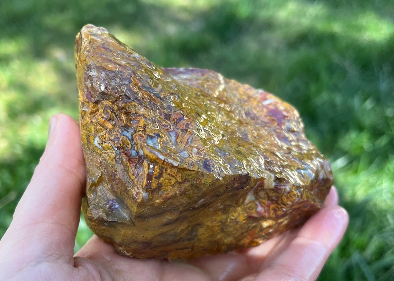 Indonesian Petrified Caddisfly Agate Fossil Lapidary Rough Rock Specimen