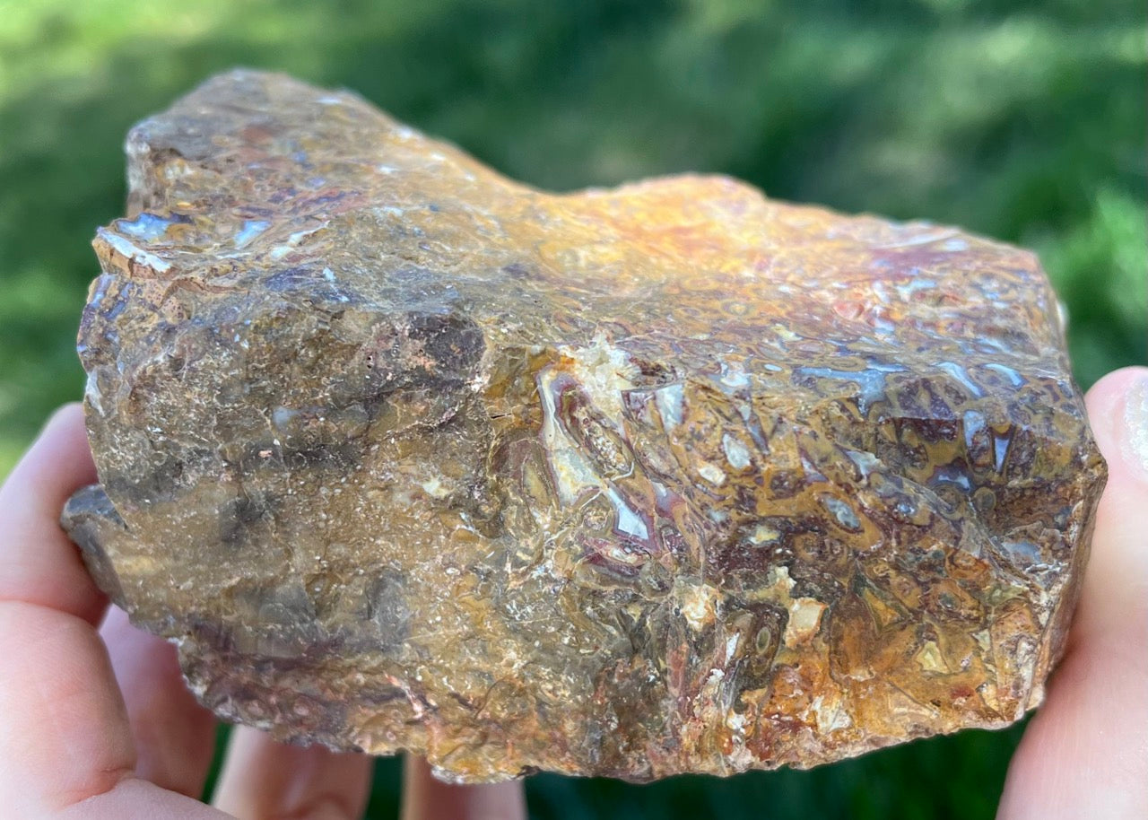 Indonesian Petrified Caddisfly Agate Fossil Lapidary Rough Rock Specimen