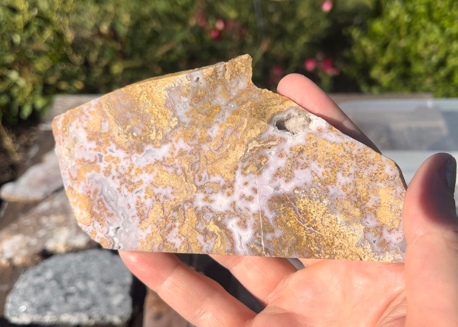 Rare Mexican Calico Lace Agate Lapidary Rock Slab