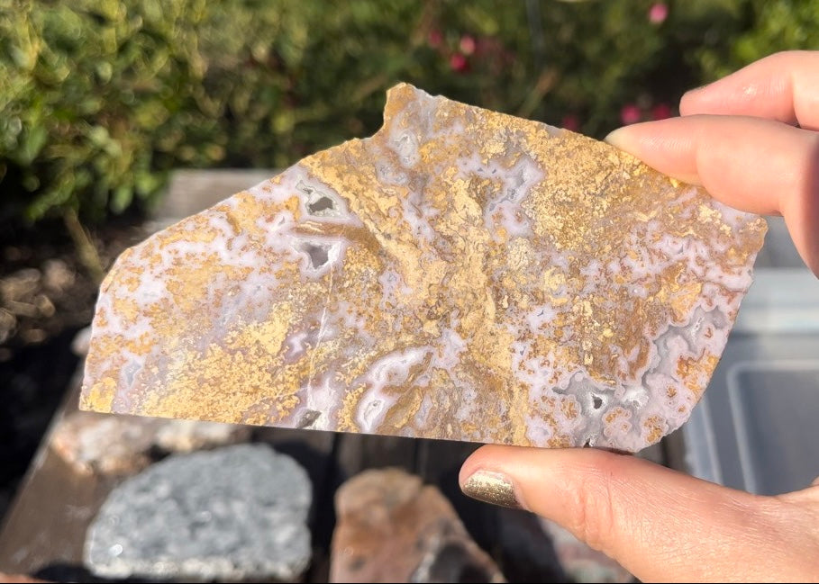 Rare Mexican Calico Lace Agate Lapidary Rock Slab