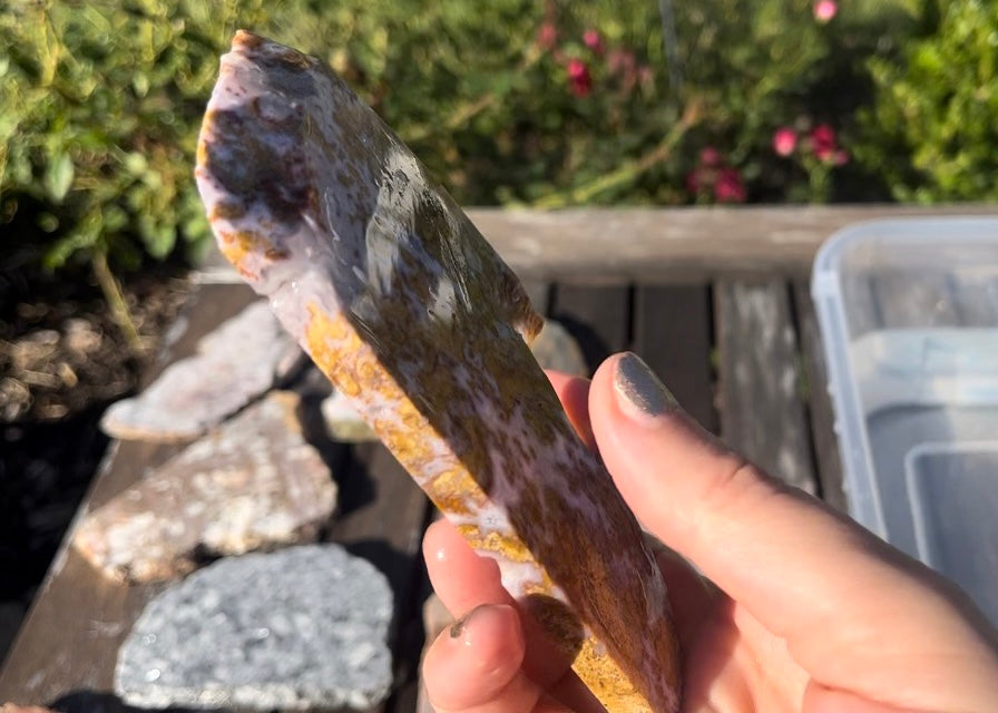 Rare Mexican Calico Lace Agate Lapidary Rock Slab