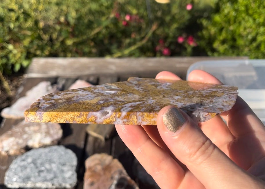 Rare Mexican Calico Lace Agate Lapidary Rock Slab