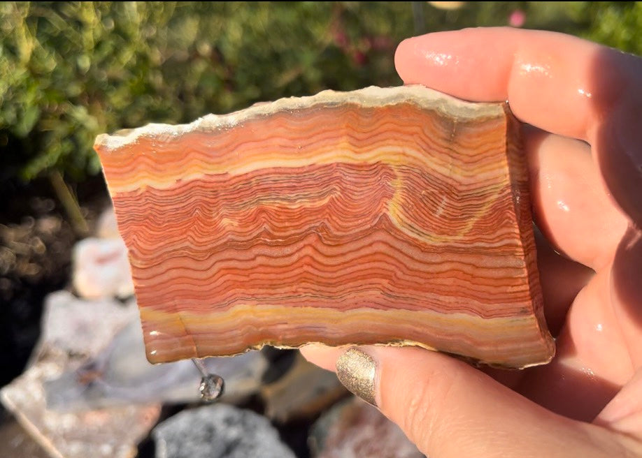 Turkish Cosmic Jasper Lapidary Rock Slab