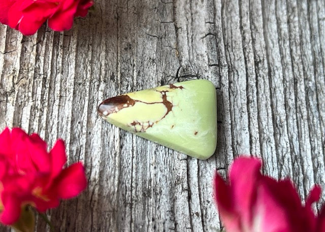 Australian Lemon Citron Chrysoprase Polished Trillion Cabochon with Matrix