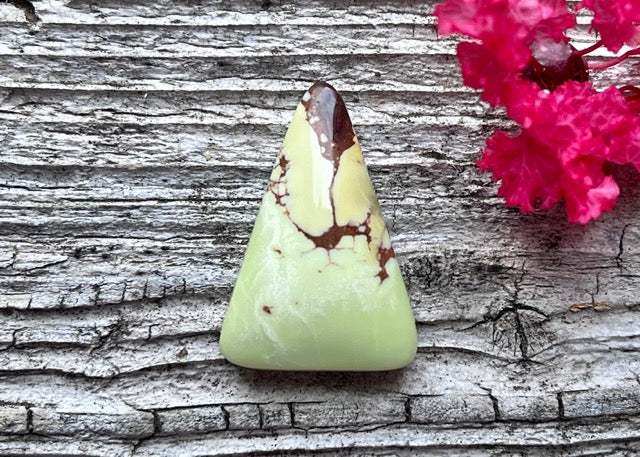Australian Lemon Citron Chrysoprase Polished Trillion Cabochon with Matrix
