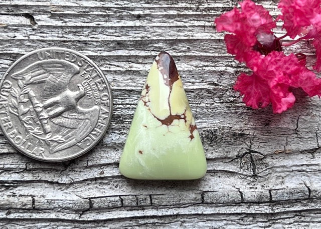 Australian Lemon Citron Chrysoprase Polished Trillion Cabochon with Matrix