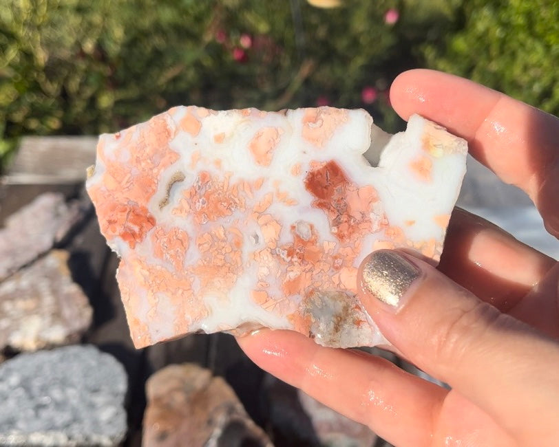 Mexican Pink Cotton Candy Agate Lapidary Rock Slab - Lucky Calico Gem & Jewelry Co.