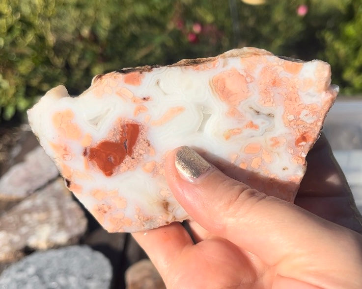 Mexican Pink Cotton Candy Agate Lapidary Rock Slab - Lucky Calico Gem & Jewelry Co.