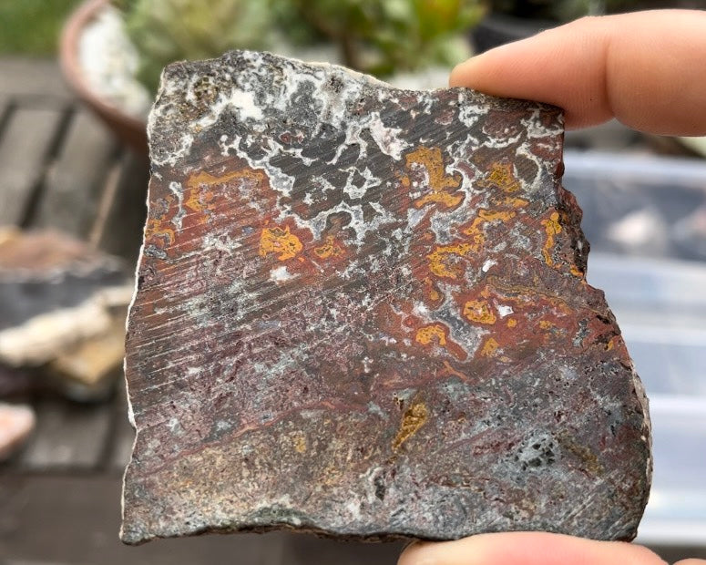 Moroccan Cruentes Blood Agate Lapidary Rock Slab