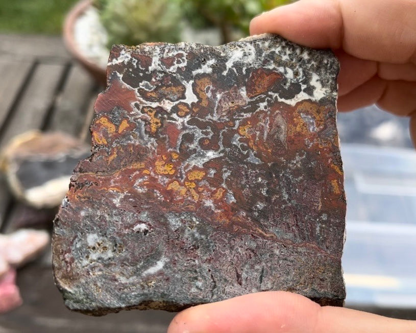 Moroccan Cruentes Blood Agate Lapidary Rock Slab