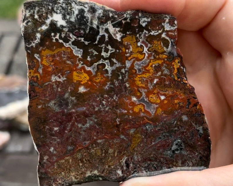 Moroccan Cruentes Blood Agate Lapidary Rock Slab