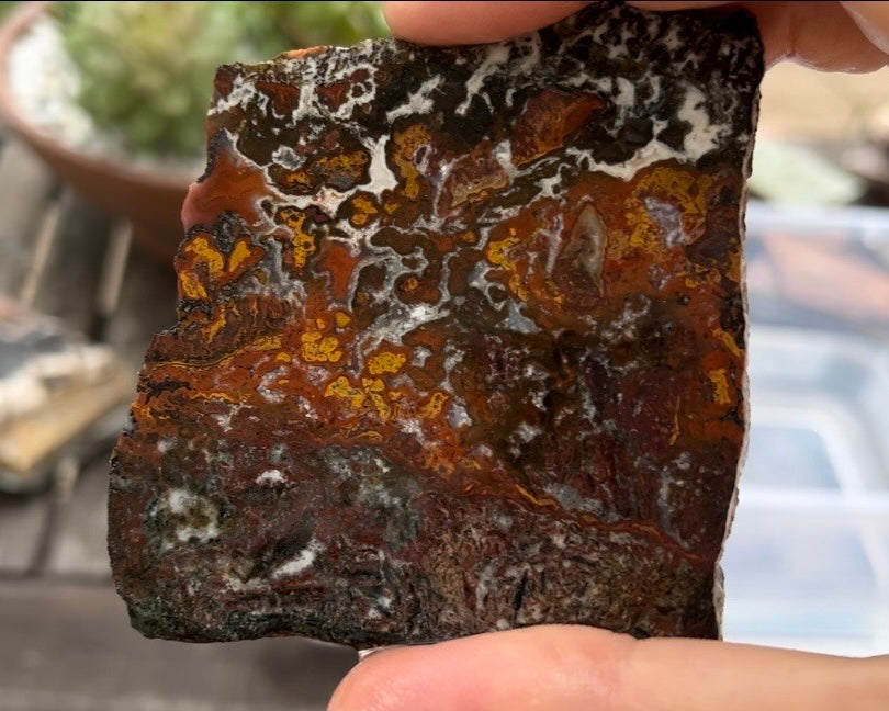 Moroccan Cruentes Blood Agate Lapidary Rock Slab