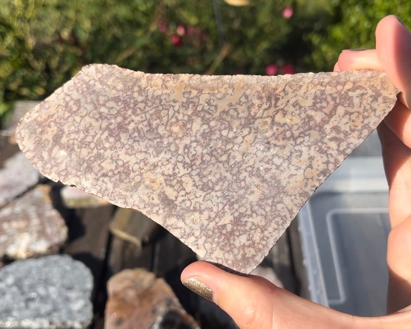 Rare Mexican Dunes Jasper Lapidary Rock Slab