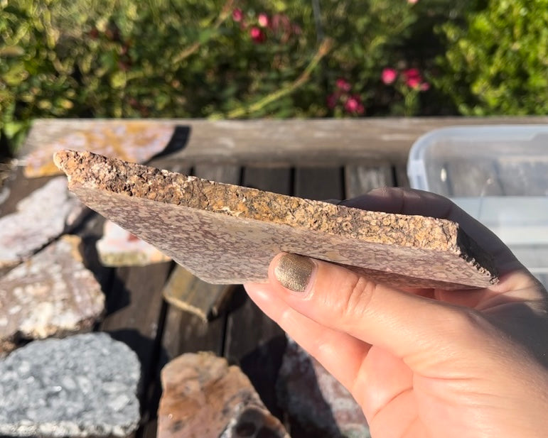 Rare Mexican Dunes Jasper Lapidary Rock Slab