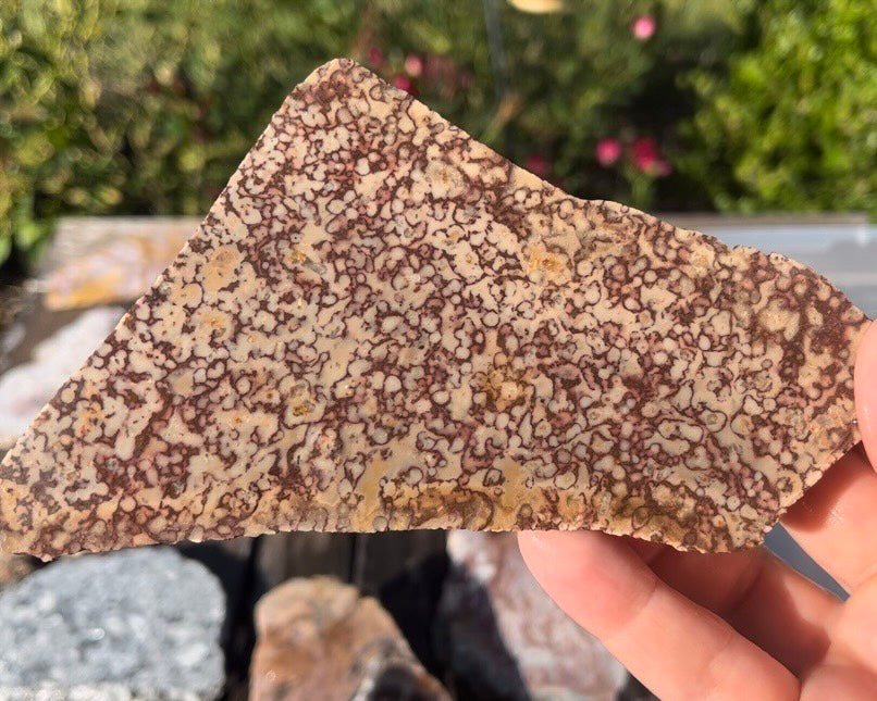 Rare Mexican Dunes Jasper Lapidary Rock Slab