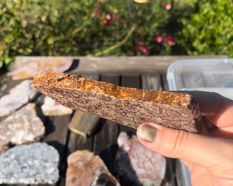 Rare Mexican Dunes Jasper Lapidary Rock Slab