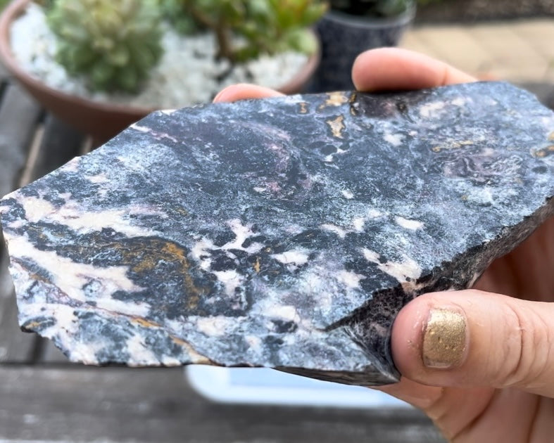 Indian Blanket Jasper Slab