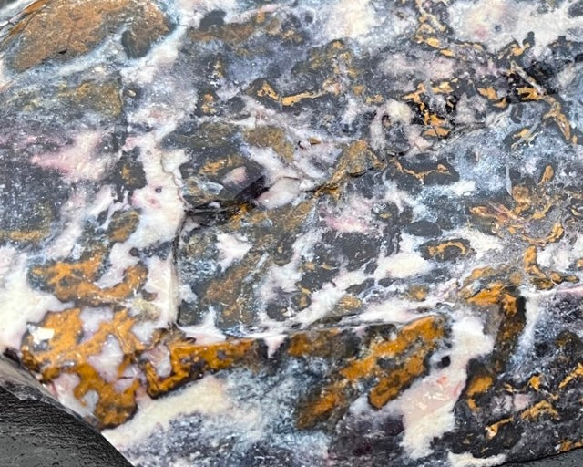 Utah Indian Blanket Jasper Lapidary Rock Slab - Lucky Calico Gem & Jewelry Co.