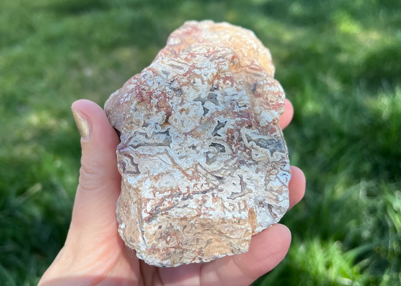 Kaily Lace Agate Lapidary Rough Rock Specimen - Mexican Agates - Lucky Calico Gem & Jewelry Co.