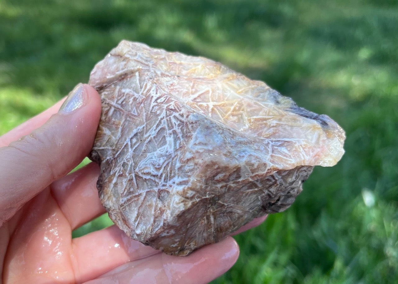 Kaily Lace Agate Lapidary Rough Rock Specimen - Mexican Agates - Lucky Calico Gem & Jewelry Co.