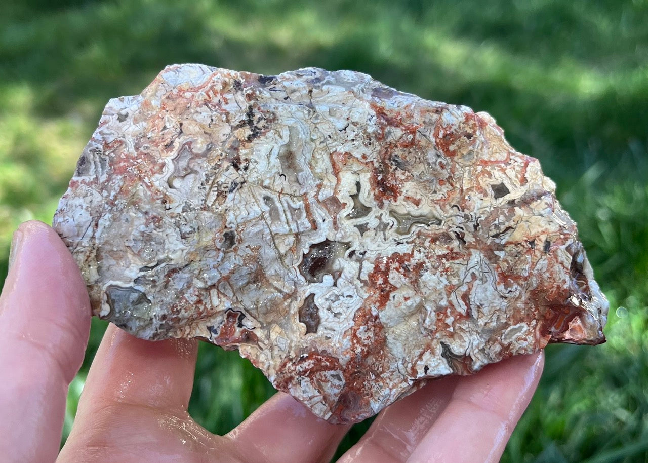 Kaily Lace Agate Lapidary Rough Rock Specimen - Mexican Agates - Lucky Calico Gem & Jewelry Co.