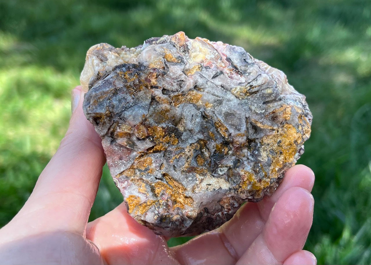 Kaily Lace Agate Lapidary Rough Rock Specimen - Mexican Agates - Lucky Calico Gem & Jewelry Co.