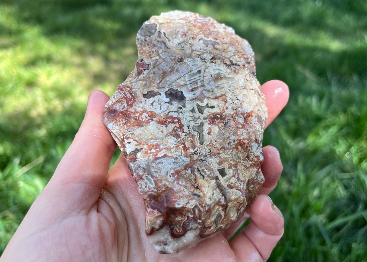 Kaily Lace Agate Lapidary Rough Rock Specimen - Mexican Agates - Lucky Calico Gem & Jewelry Co.