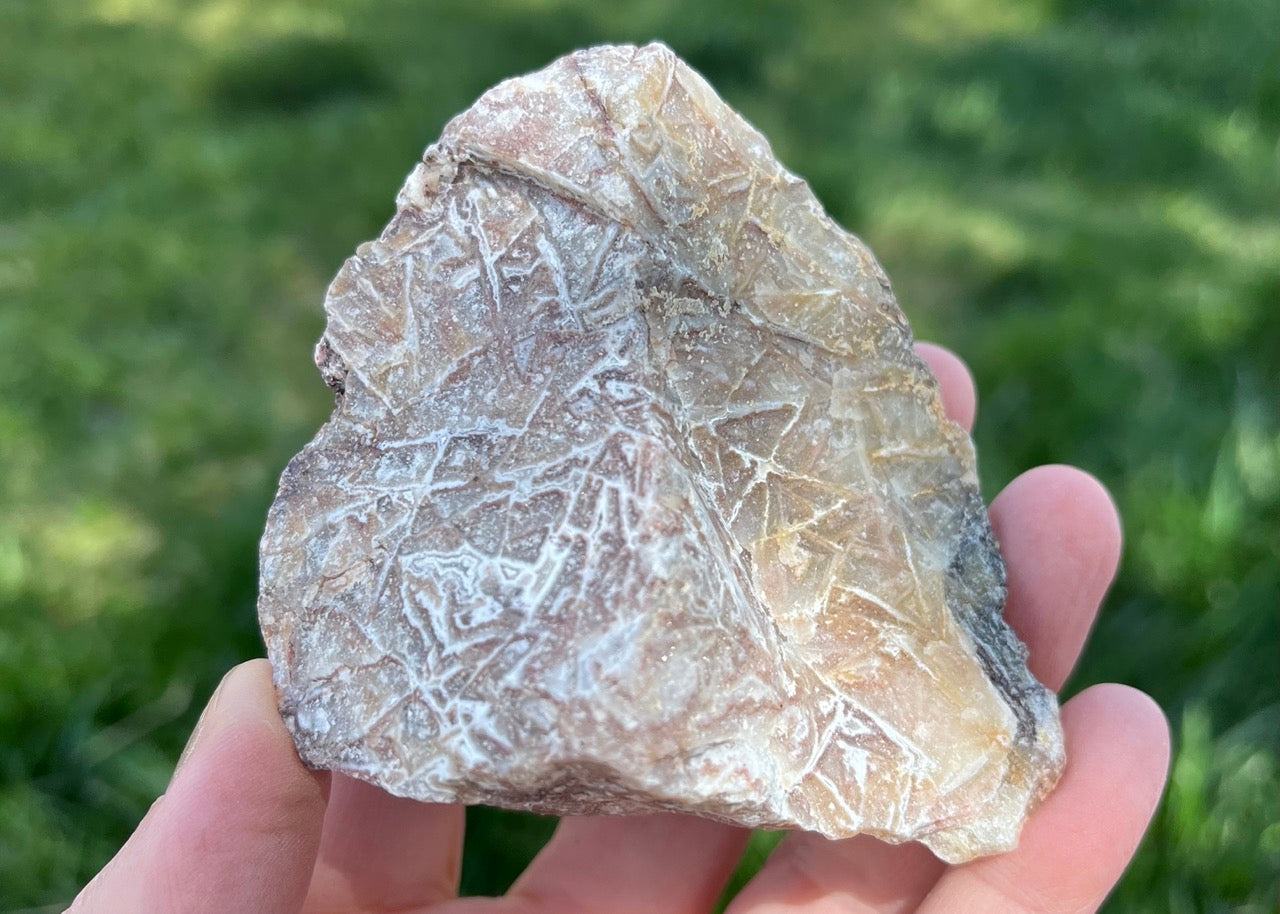 Kaily Lace Agate Lapidary Rough Rock Specimen - Mexican Agates - Lucky Calico Gem & Jewelry Co.