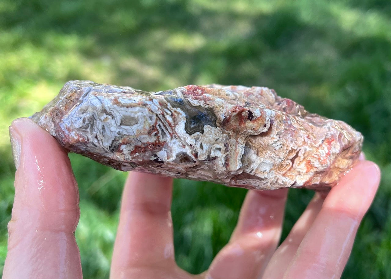 Kaily Lace Agate Lapidary Rough Rock Specimen - Mexican Agates - Lucky Calico Gem & Jewelry Co.