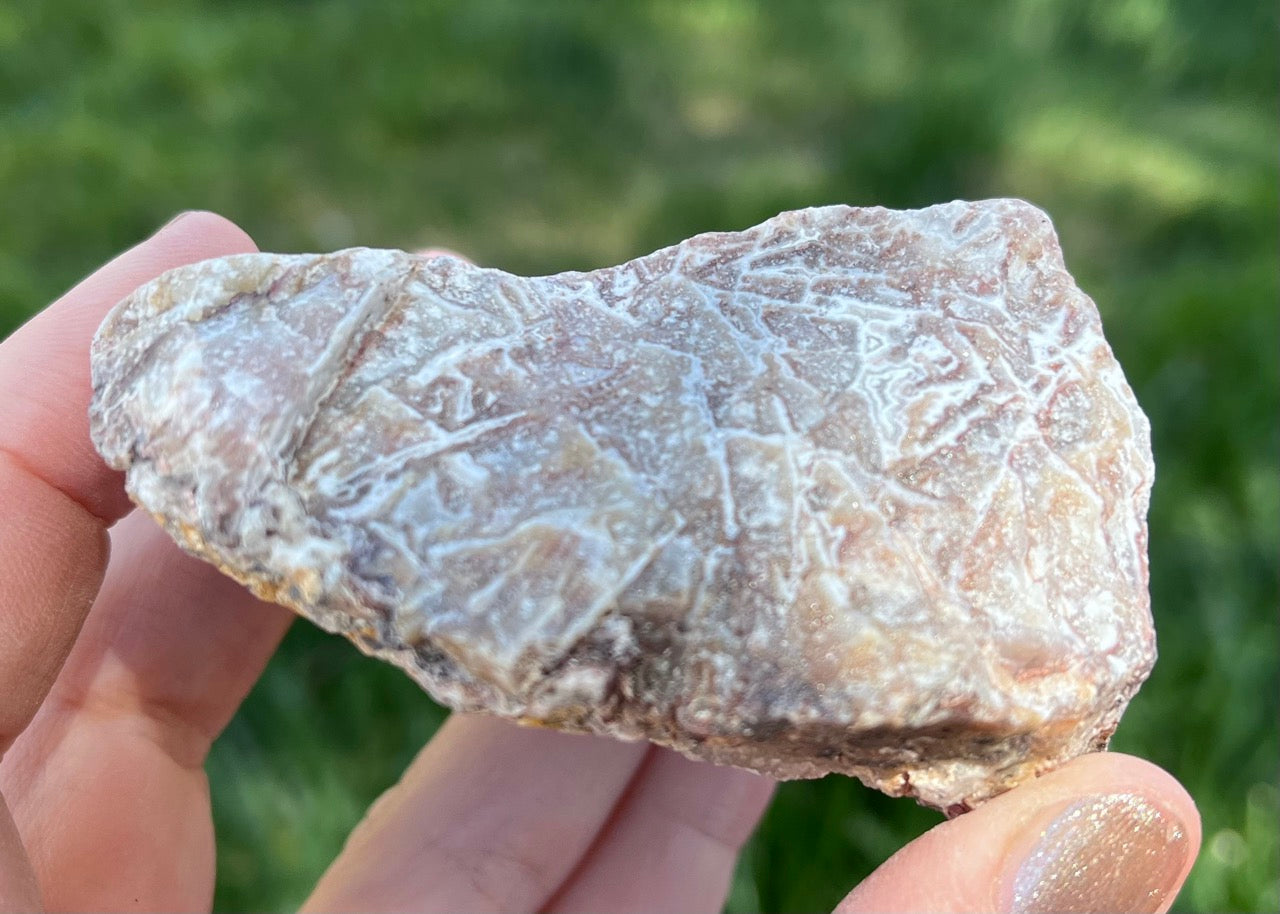 Kaily Lace Agate Lapidary Rough Rock Specimen - Mexican Agates - Lucky Calico Gem & Jewelry Co.