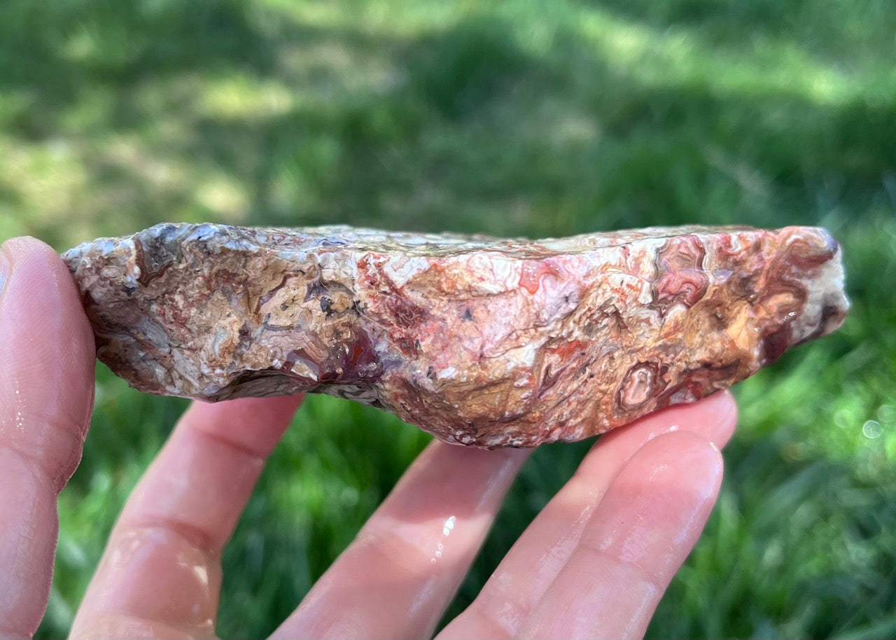 Kaily Lace Agate Lapidary Rough Rock Specimen - Mexican Agates - Lucky Calico Gem & Jewelry Co.