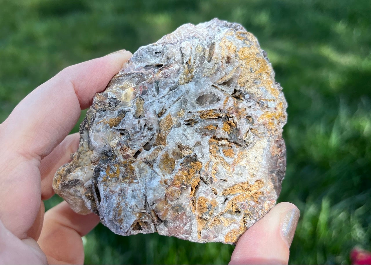 Kaily Lace Agate Lapidary Rough Rock Specimen - Mexican Agates - Lucky Calico Gem & Jewelry Co.