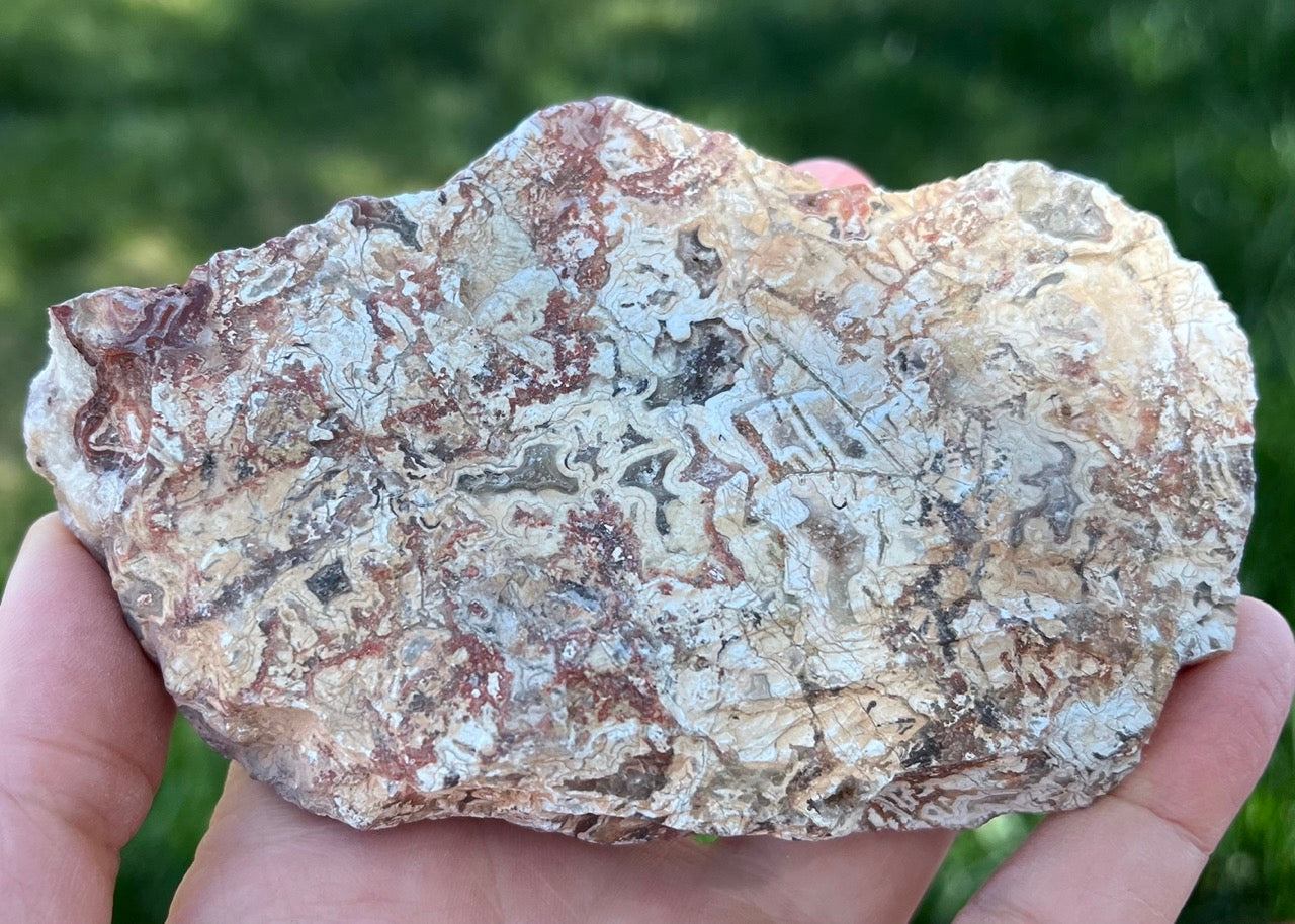 Kaily Lace Agate Lapidary Rough Rock Specimen - Mexican Agates - Lucky Calico Gem & Jewelry Co.