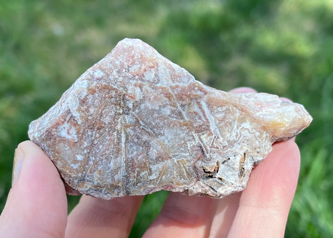 Kaily Lace Agate Lapidary Rough Rock Specimen - Mexican Agates - Lucky Calico Gem & Jewelry Co.