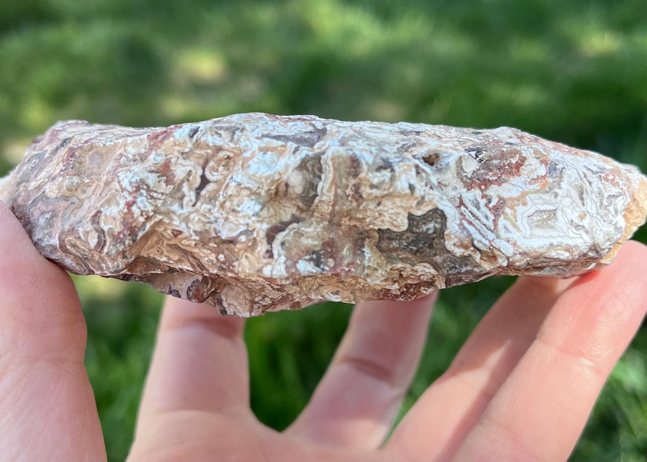 Kaily Lace Agate Lapidary Rough Rock Specimen - Mexican Agates - Lucky Calico Gem & Jewelry Co.