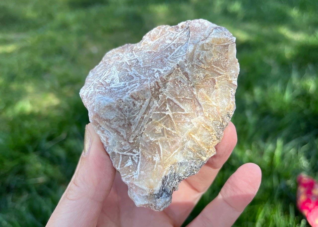 Kaily Lace Agate Lapidary Rough Rock Specimen - Mexican Agates - Lucky Calico Gem & Jewelry Co.