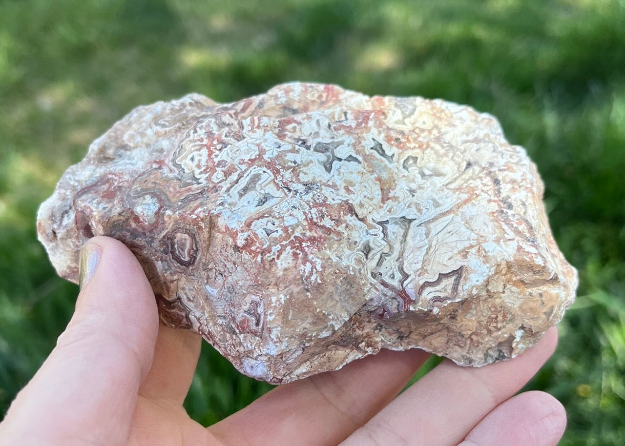 Kaily Lace Agate Lapidary Rough Rock Specimen - Mexican Agates - Lucky Calico Gem & Jewelry Co.