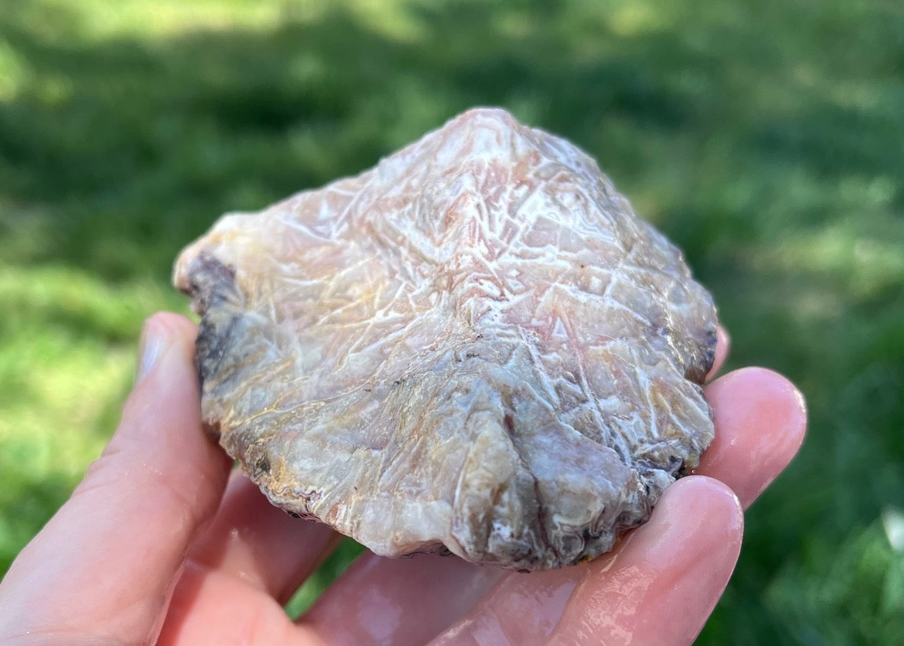 Kaily Lace Agate Lapidary Rough Rock Specimen - Mexican Agates - Lucky Calico Gem & Jewelry Co.