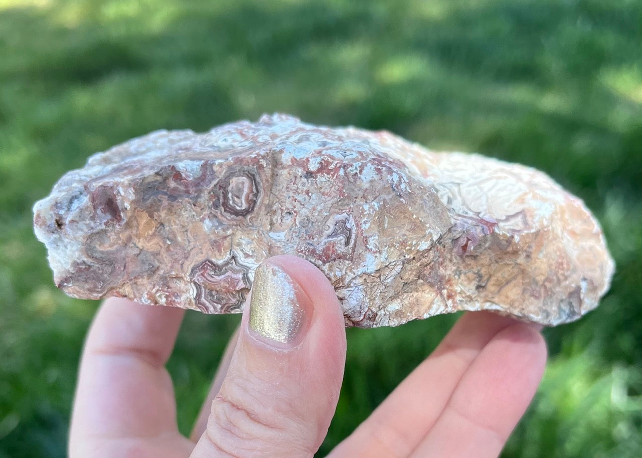 Kaily Lace Agate Lapidary Rough Rock Specimen - Mexican Agates - Lucky Calico Gem & Jewelry Co.