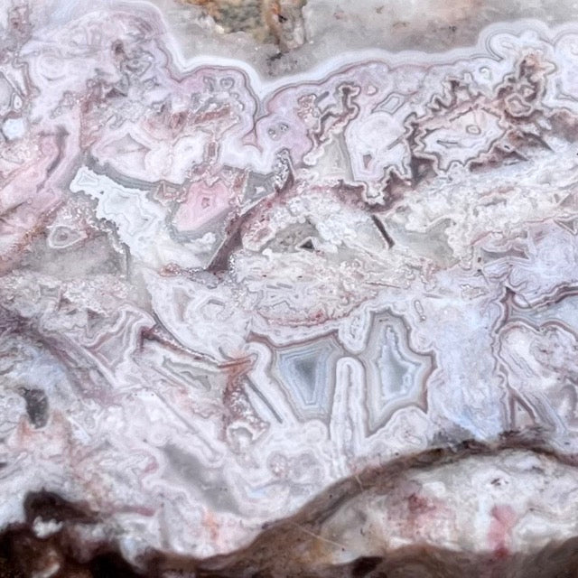 Kaily Lace Agate Lapidary Rock Slab - Mexican Agates - Lucky Calico Gem & Jewelry Co.