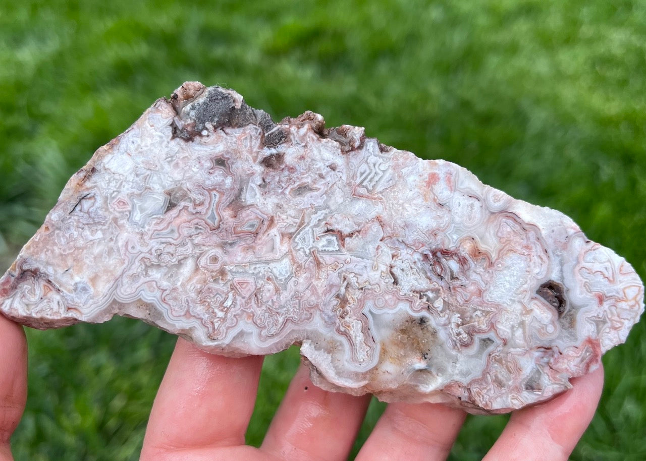 Kaily Lace Agate Lapidary Rock Slab - Mexican Agates - Lucky Calico Gem & Jewelry Co.