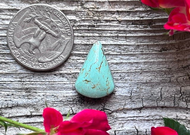 Kingman Turquoise Trillion Cabochon - Lucky Calico Gem & Jewelry Co.