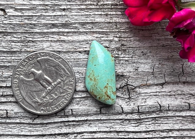 Light Green Kingman Turquoise Freeform Backed Cabochon