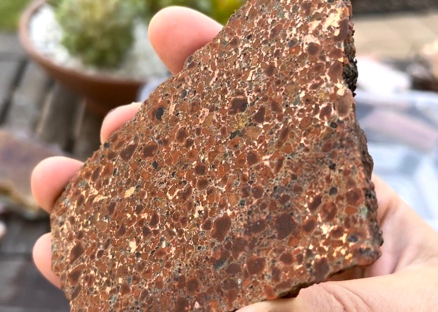 Michigan Kingston Copper Rose Conglomerate Lapidary Rock Slab - Michigan Rocks - Lucky Calico Gem & Jewelry Co.
