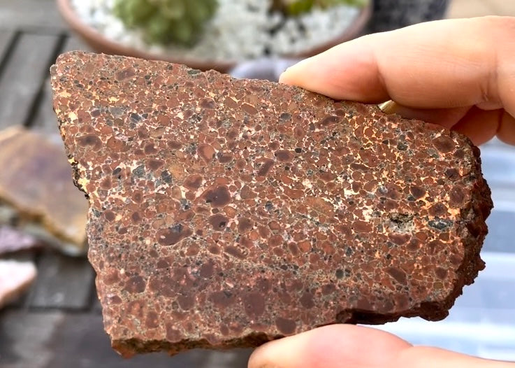 Michigan Kingston Copper Rose Conglomerate Lapidary Rock Slab - Michigan Rocks - Lucky Calico Gem & Jewelry Co.