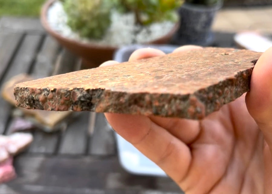 Michigan Kingston Copper Rose Conglomerate Lapidary Rock Slab - Michigan Rocks - Lucky Calico Gem & Jewelry Co.