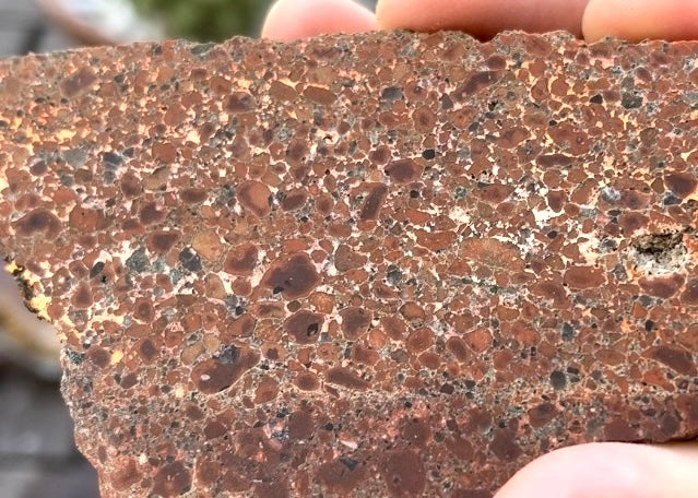 Michigan Kingston Copper Rose Conglomerate Lapidary Rock Slab - Michigan Rocks - Lucky Calico Gem & Jewelry Co.