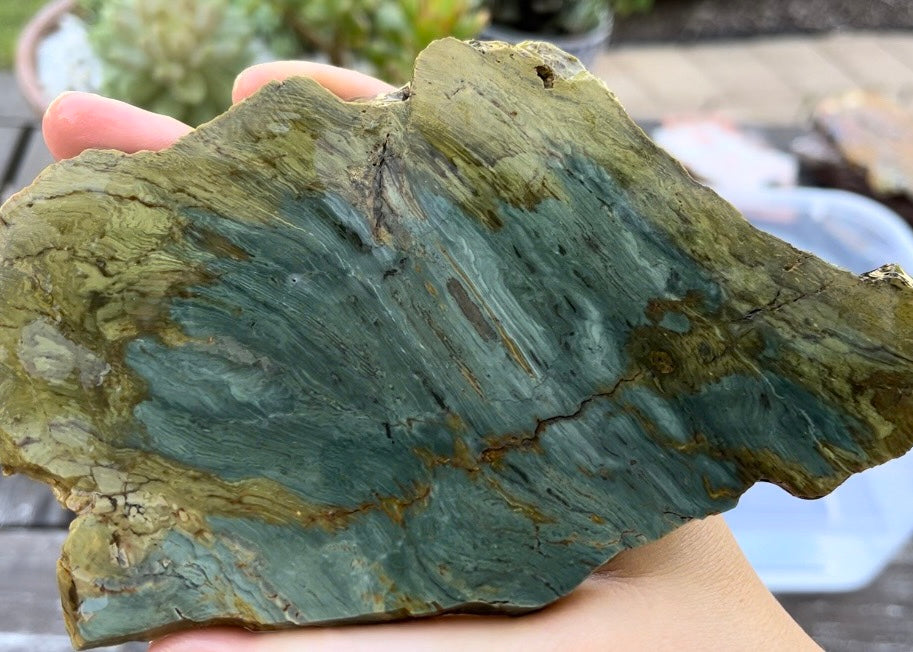 Gary Green Larsonite Freedom Jasper Lapidary Rock Slab - Lucky Calico Gem & Jewelry Co.